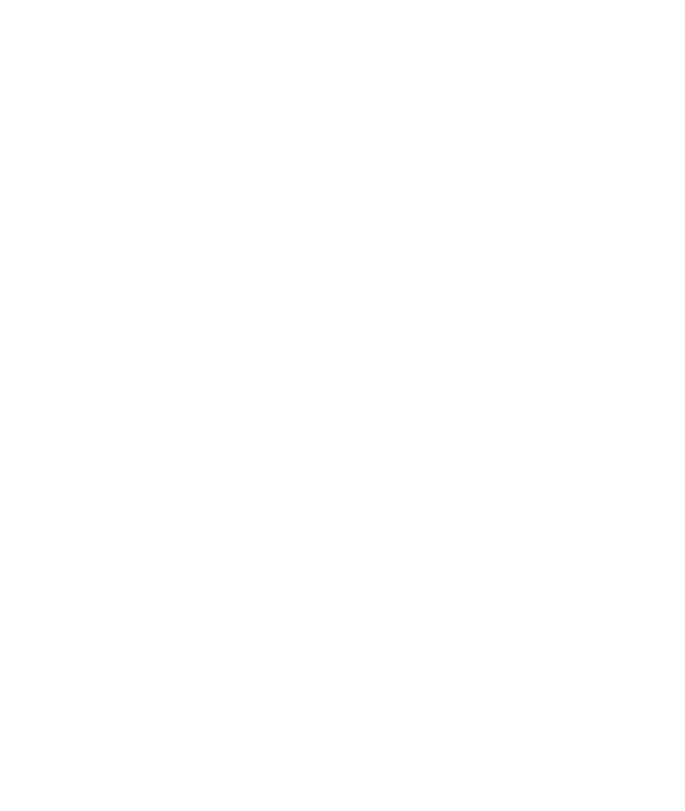 The Cyber Soldier